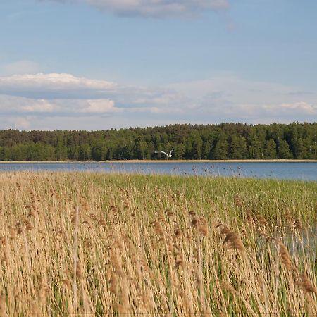 Вилла Дом для отпуска Duck Lake Полоцк Экстерьер фото