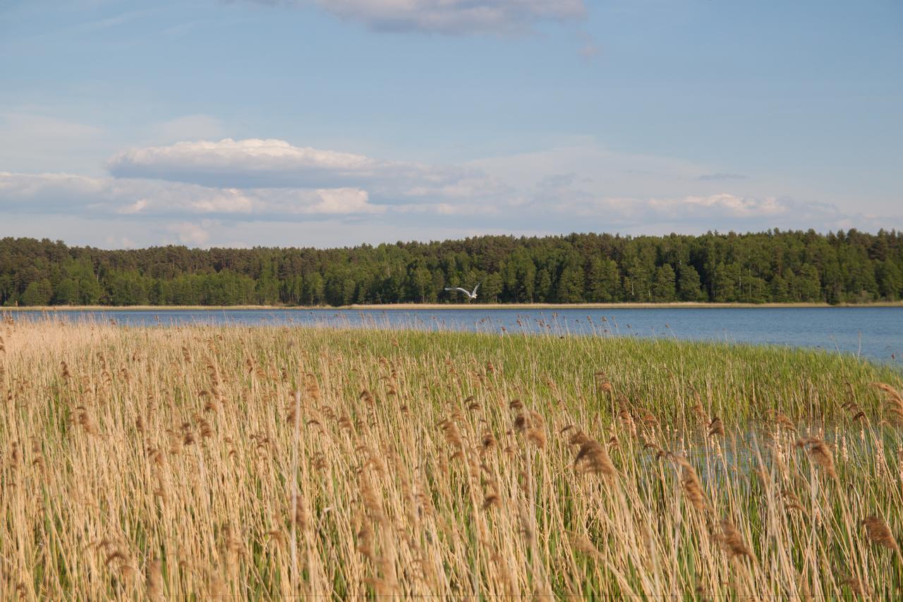 Вилла Дом для отпуска Duck Lake Полоцк Экстерьер фото