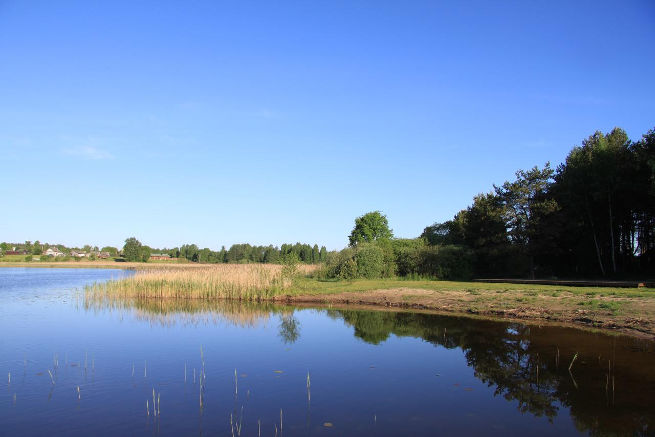 Вилла Дом для отпуска Duck Lake Полоцк Экстерьер фото